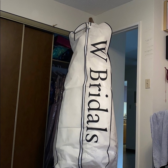 BEAUTIFUL ALLURE PLUS SIZED WEDDING DRESS ! - Picture 3 of 3